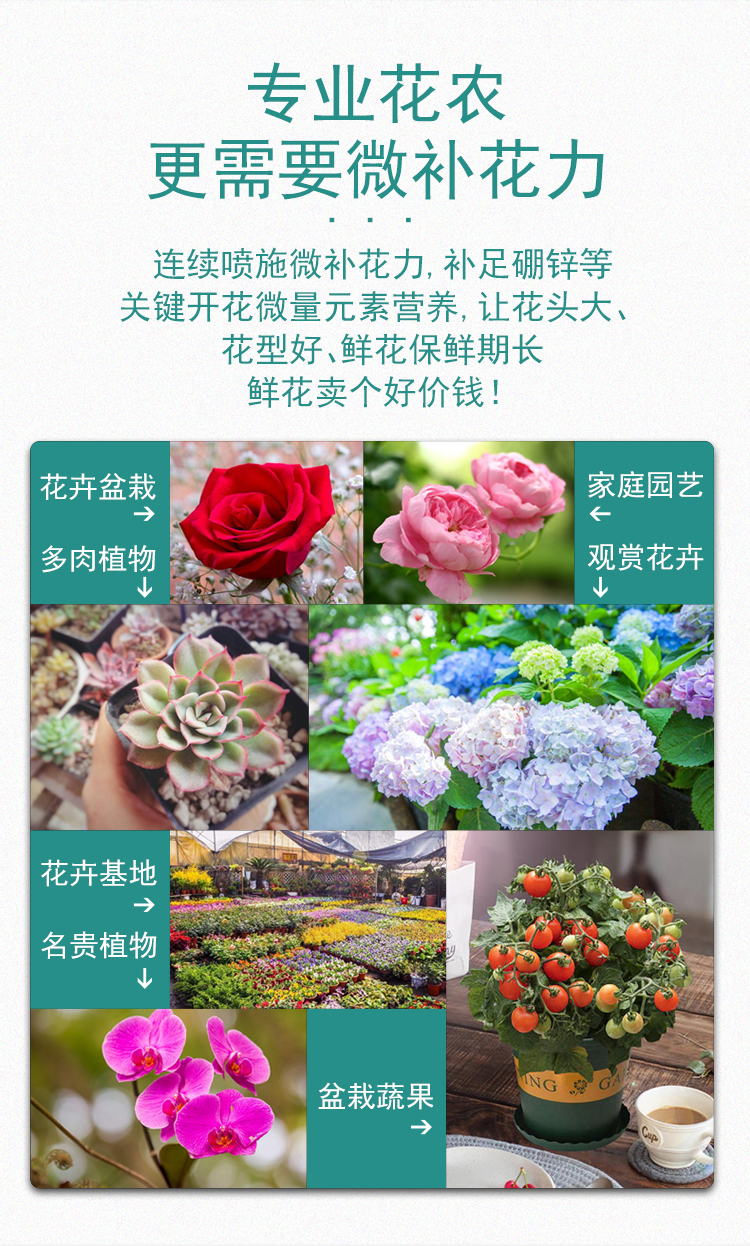 微補(bǔ)花力_10.jpg