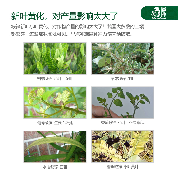 微補(bǔ)沖力鎂_03.jpg 微補(bǔ)沖力鎂_03.jpg