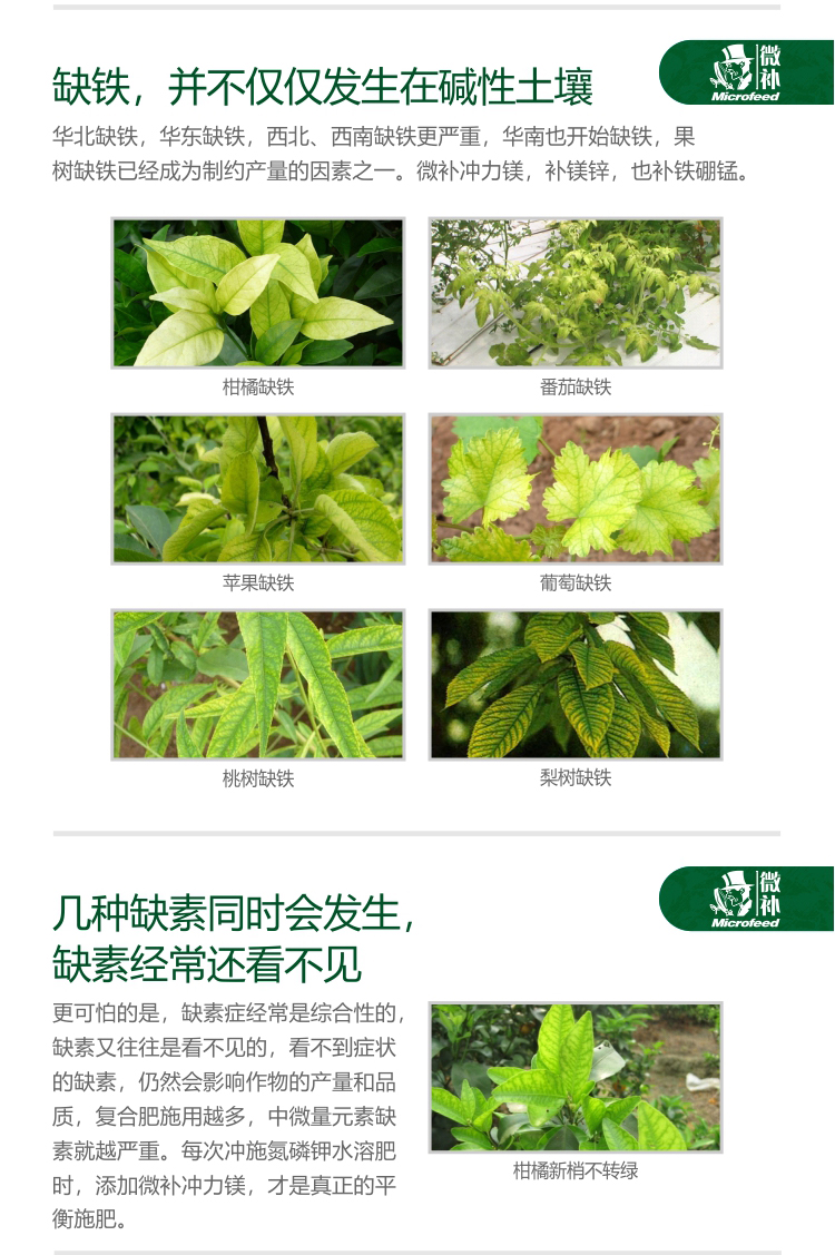 微補(bǔ)沖力鎂_04.jpg 微補(bǔ)沖力鎂_04.jpg