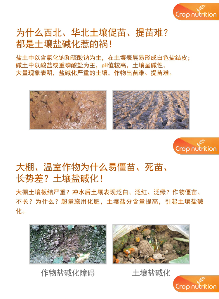 因迪樂有機(jī)鹽堿土調(diào)理水溶肥1_02.jpg 因迪樂有機(jī)鹽堿土調(diào)理水溶肥1_02.jpg