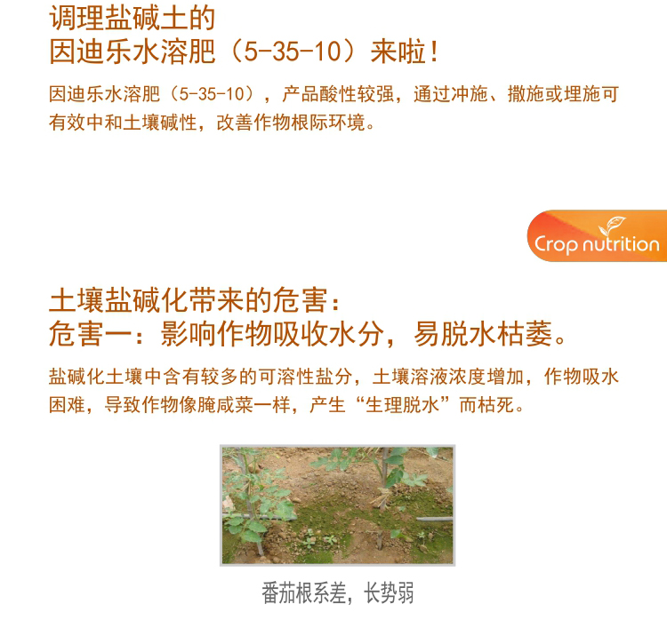 因迪樂有機(jī)鹽堿土調(diào)理水溶肥1_03.jpg 因迪樂有機(jī)鹽堿土調(diào)理水溶肥1_03.jpg