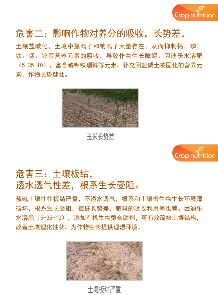 因迪樂有機(jī)鹽堿土調(diào)理水溶肥1_04.jpg 因迪樂有機(jī)鹽堿土調(diào)理水溶肥1_04.jpg