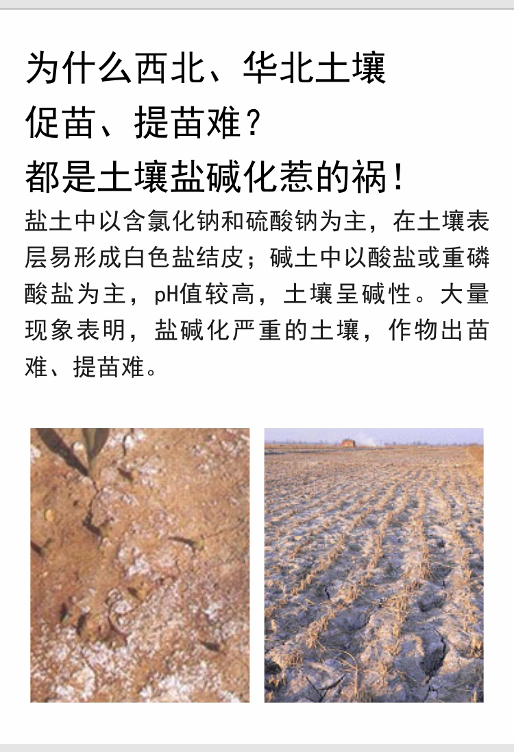 因迪樂有機(jī)鹽堿土調(diào)理水溶肥_02.jpg