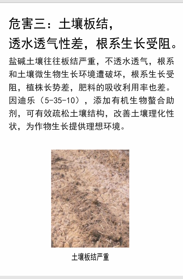 因迪樂有機(jī)鹽堿土調(diào)理水溶肥_06.jpg