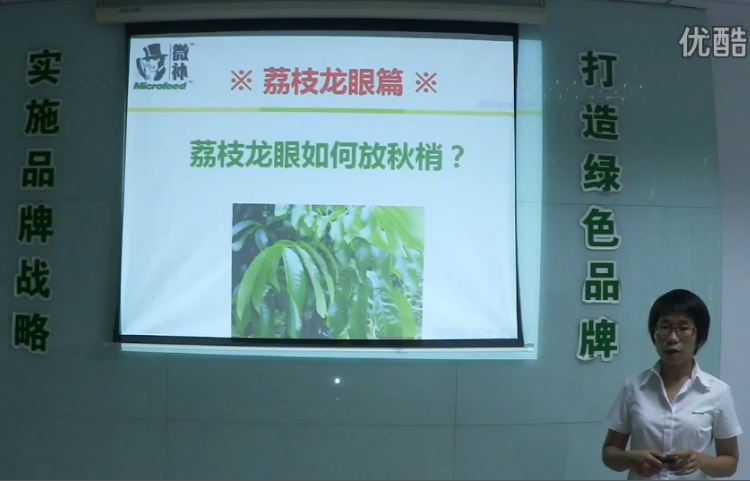 荔枝龍眼-采后樹(shù)弱、秋梢不壯怎么辦？請看微補講座