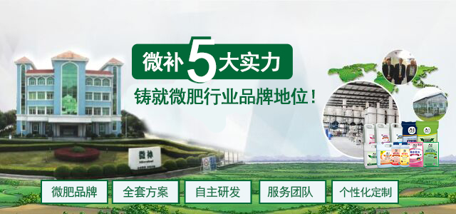 選擇微補 選擇微肥品牌