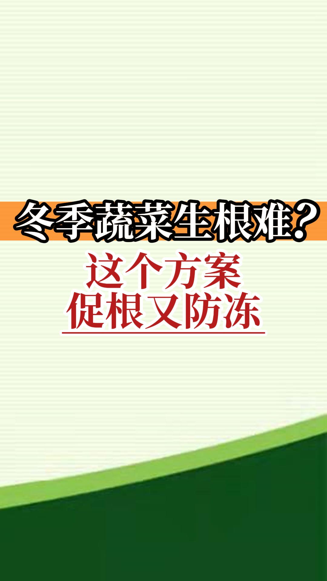 冬季蔬菜生根難？這個(gè)方案促根又防凍