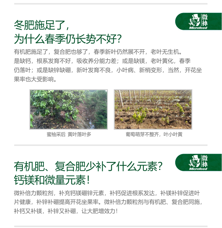 微補(bǔ)倍力