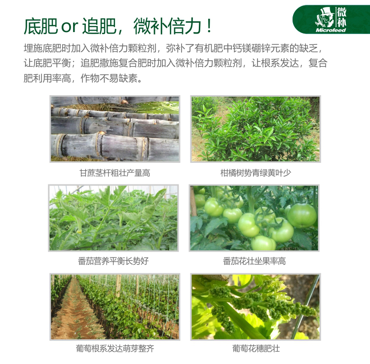 微補(bǔ)倍力