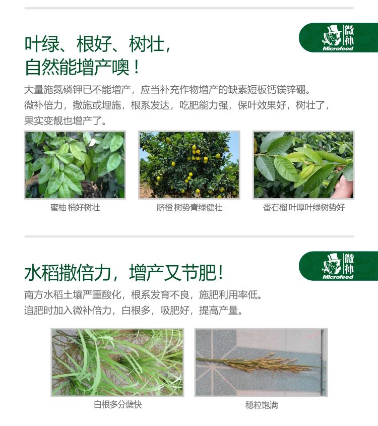 微補(bǔ)倍力