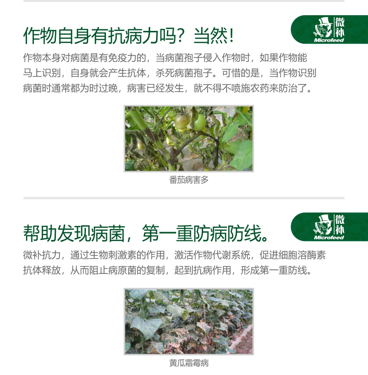 微補(bǔ)抗力2