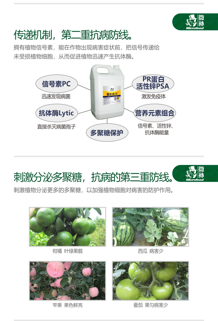 微補(bǔ)抗力2