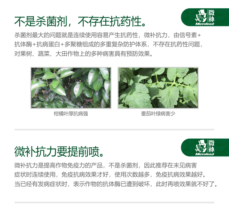 微補(bǔ)抗力2