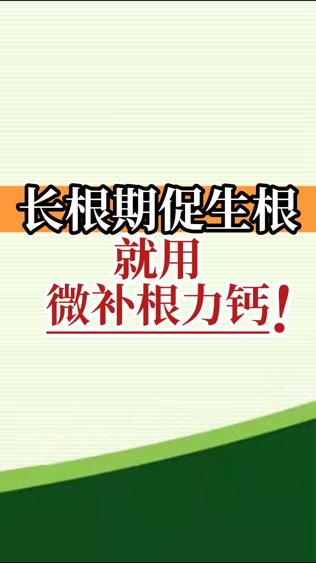 長根期促生根就用微補(bǔ)根力鈣！