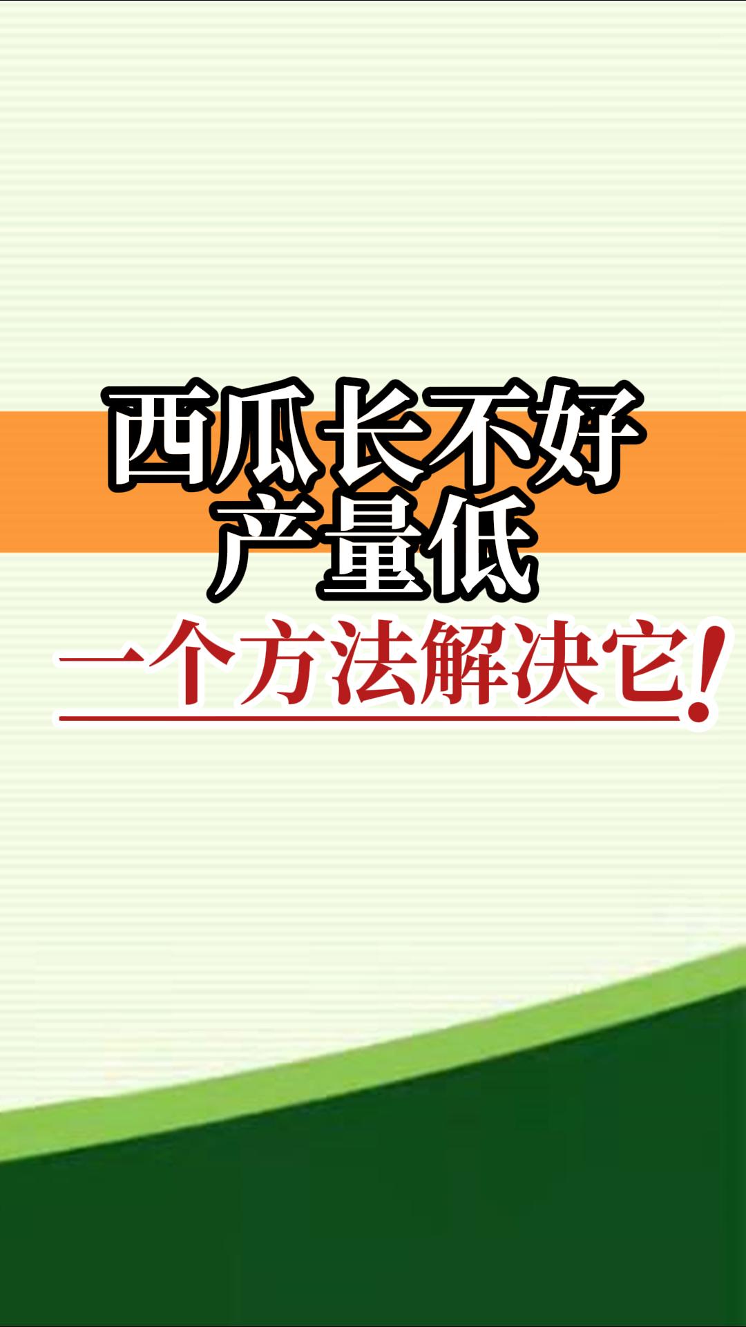 西瓜長不好產(chǎn)量低？