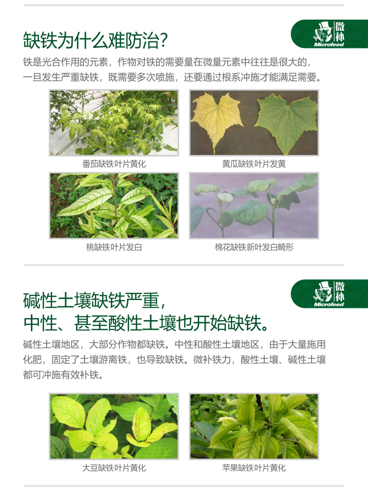 微補(bǔ)鐵力