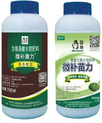 讓作物安全過冬的實(shí)用小妙招，速看