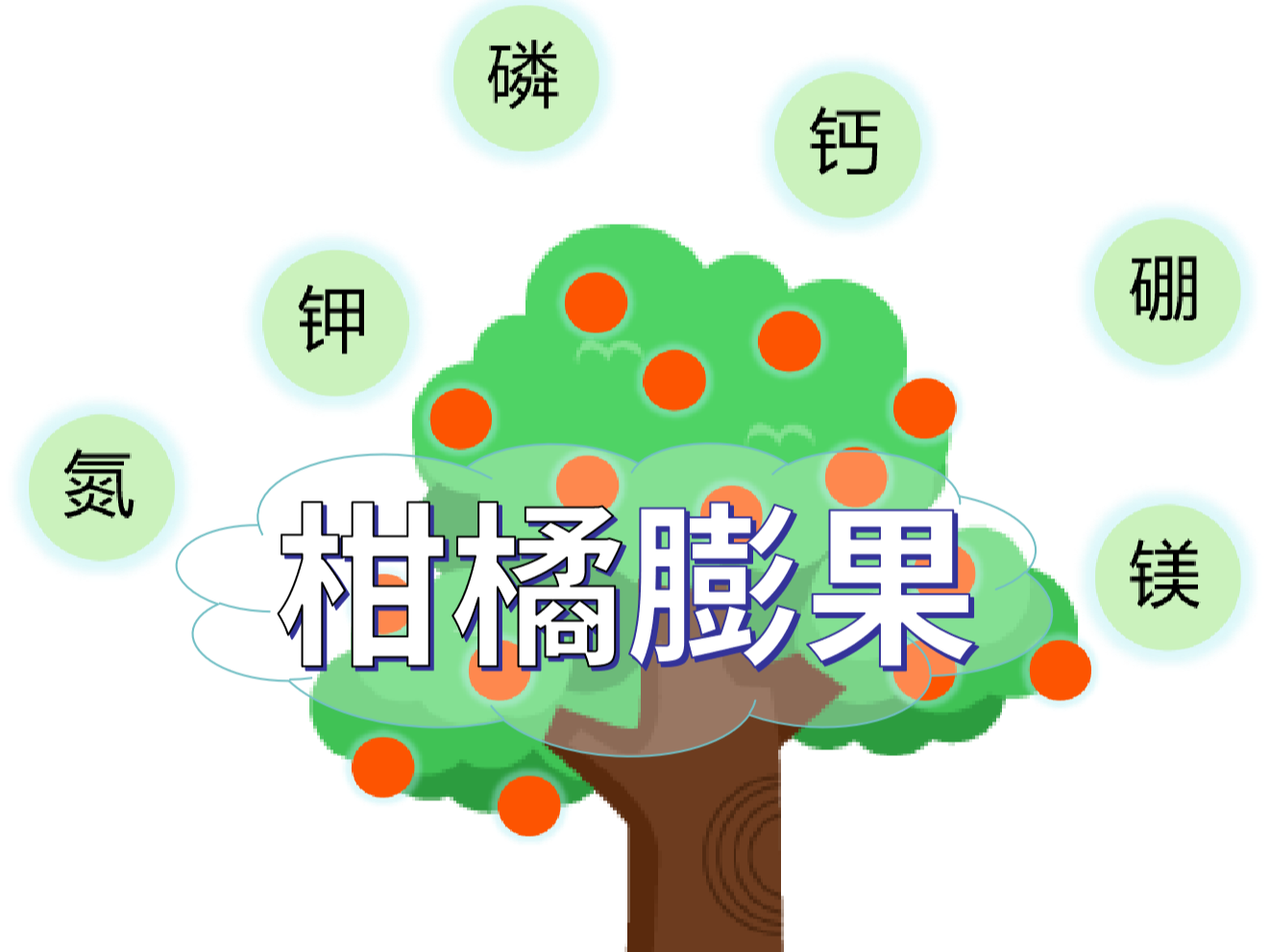 柑橘<i style='color:red'>膨果</i>慢？找準(zhǔn)原因，“對癥下藥”