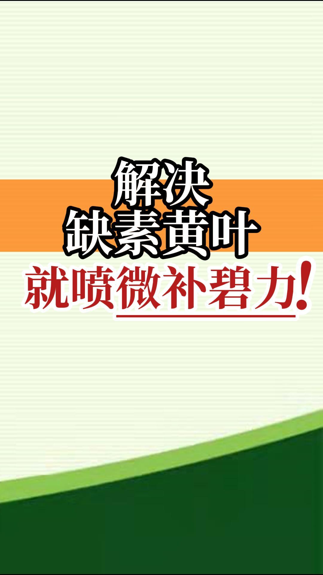 解決缺素黃葉就噴微補(bǔ)碧力！