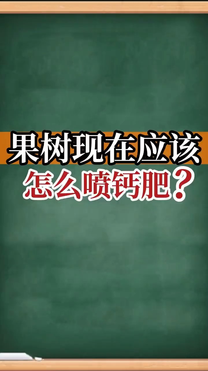 果樹現(xiàn)在應(yīng)該怎么噴鈣肥？