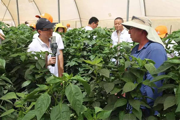深度思考：我們到底應該向以色列農業(yè)學習什么？